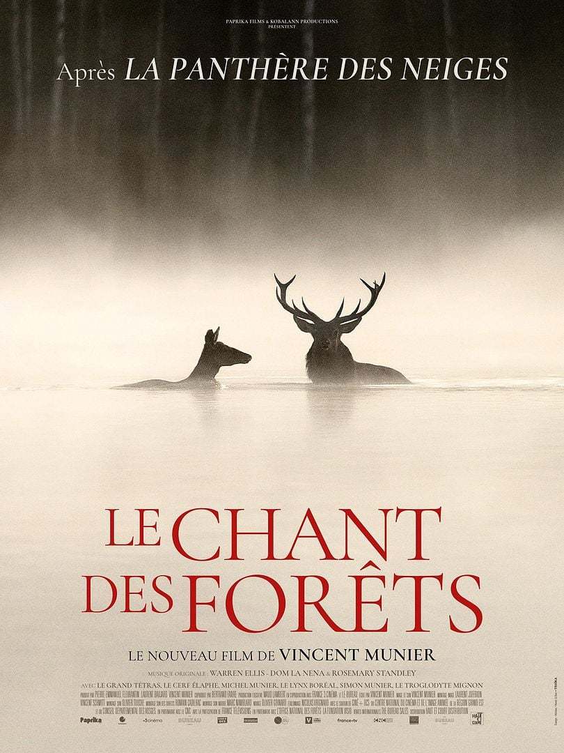 Le chant des fotêts
